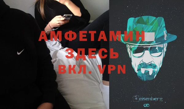 молекула духа Ельня