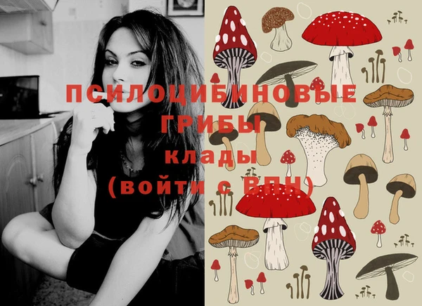 кокс Надым